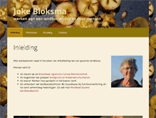 Tablet Screenshot of jokebloksma.nl